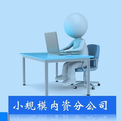代理记账服务 中小企业财务管理的高效解决方案